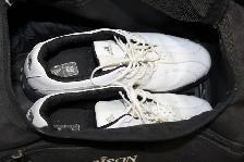 Golf Clubs, Golf Bag and Newish 8.5 adidas golf shoes TRADES