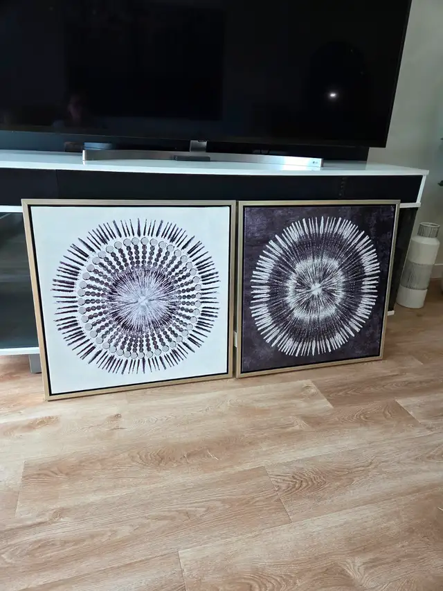 2 Modern Art Pictures