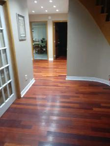 ALL INCLUSIVE, PRIVATE WASHROOM, FURNISHED, YORK UNIVERSITY - Photo 6