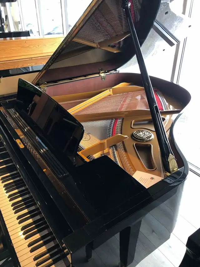 Petrof PE4 Grand Piano • Handbuilt, European piano at a steal!