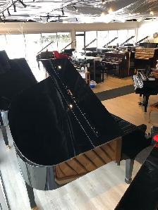 Petrof PE4 Grand Piano • Handbuilt, European piano at a steal! - Photo 5