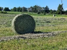 2026 Hay