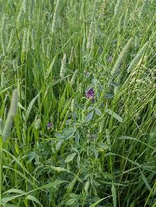 2026 Hay - Photo 3