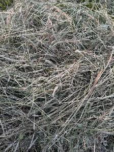 2026 Hay - Photo 4