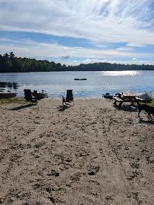 WATERFRONT 2021 park model at O’Reilly Lake Resort - Photo 10