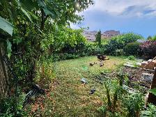 Landscape Maintenance & Lawn Care – Free Estimates. - Photo 2