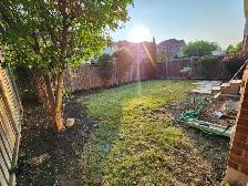 Landscape Maintenance & Lawn Care – Free Estimates. - Photo 3