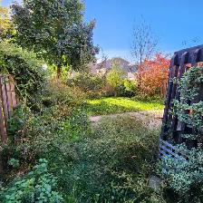 Landscape Maintenance & Lawn Care – Free Estimates. - Photo 4