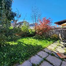 Landscape Maintenance & Lawn Care – Free Estimates. - Photo 5