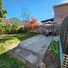 Landscape Maintenance & Lawn Care – Free Estimates. - Photo 6