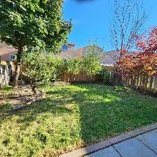 Landscape Maintenance & Lawn Care – Free Estimates. - Photo 7