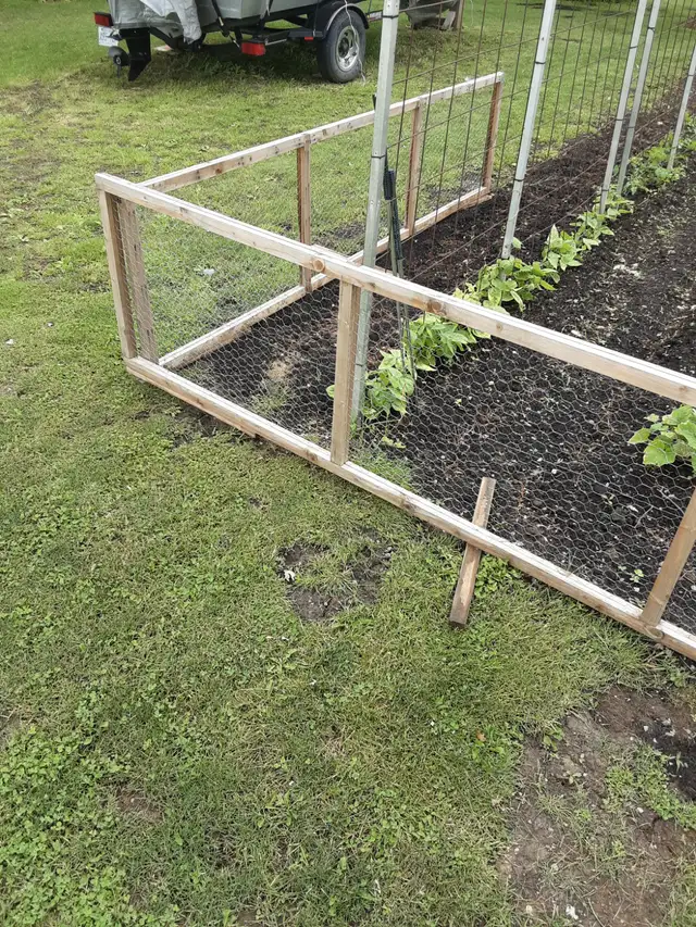 Garden Fencing