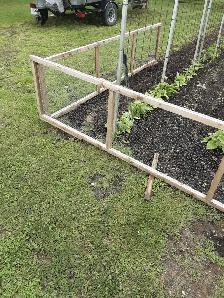 Garden Fencing
