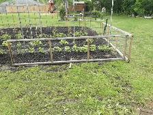 Garden Fencing - Photo 4