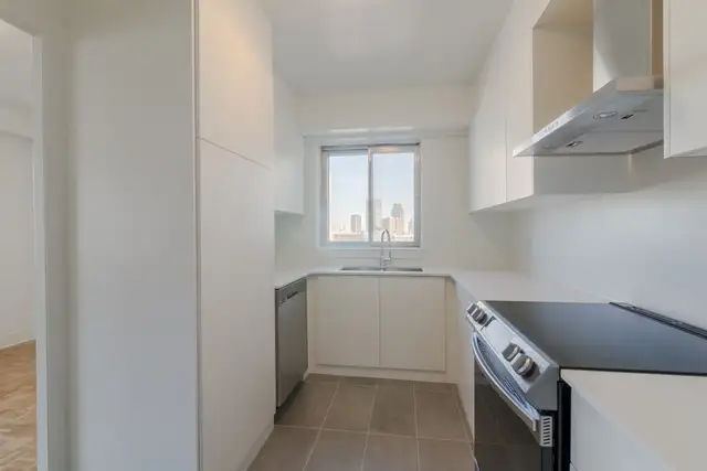 spacious one bedroom apartment near concordia - ID 971