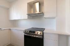 spacious one bedroom apartment near concordia - ID 971 - Photo 2