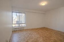 spacious one bedroom apartment near concordia - ID 971 - Photo 7