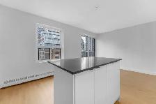 studio apartment for rent, ByWard Market, August 1 - ID 4580 - Photo 3