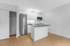 studio apartment for rent, ByWard Market, August 1 - ID 4580 - Photo 4