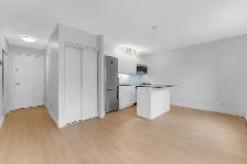 studio apartment for rent, ByWard Market, August 1 - ID 4580 - Photo 7
