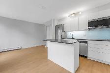 studio apartment for rent, ByWard Market, August 1 - ID 4580 - Photo 9