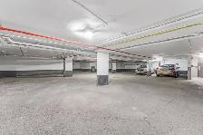 studio apartment for rent, ByWard Market, August 1 - ID 4580 - Photo 19