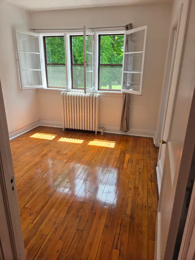 Centrally located apartment (downtown)