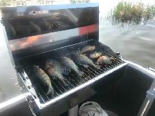 Cheapest 2026 Sunchaser pontoon boats for fishing! IN GTA - Photo 2