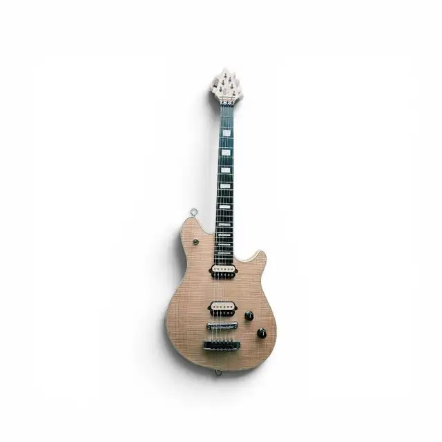 Guitare électrique van halen