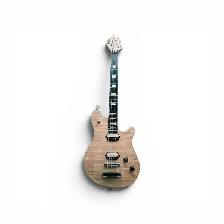Guitare électrique van halen