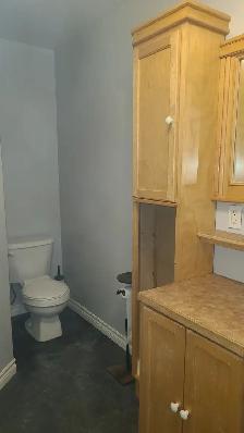Large Bright One Bedroom Apartment is Secure Building - Photo 8
