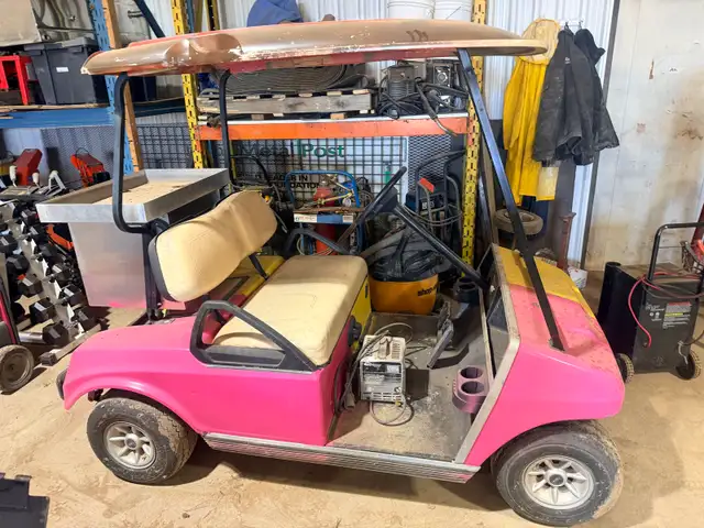 Club Car DS Electric Golf Cart