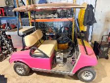 Club Car DS Electric Golf Cart