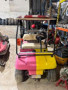 Club Car DS Electric Golf Cart - Photo 3