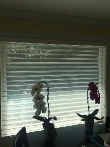 shutters/Shades/Blinds 16473275500 - Photo 9