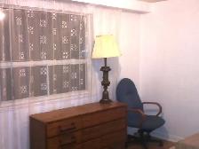 Dufferin / Finch Room for Rent $850/month: - Photo 2