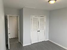 Spacious, Bright 2 Bedroom w/ Parking - $1495 - Photo 4