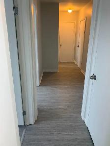 Spacious, Bright 2 Bedroom w/ Parking - $1495 - Photo 5