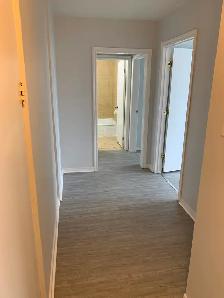 Spacious, Bright 2 Bedroom w/ Parking - $1495 - Photo 6