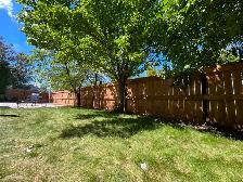 Fence Solutions - Photo 5