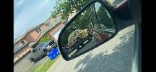 1974 sun bug.  Volkswagen beetle - Photo 6