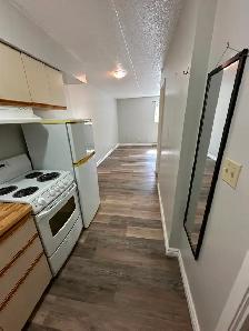 Bachelor in Minnow Lake Available for July