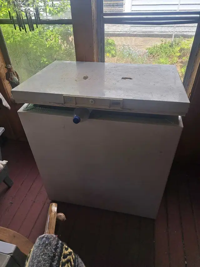freezer $60