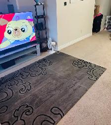 Large Bedroom in Apartment (Roommates) - Photo 2