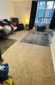 Large Bedroom in Apartment (Roommates) - Photo 4