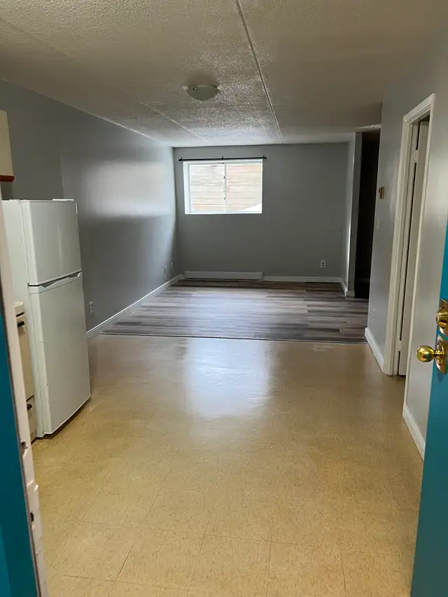 Bachelor Available for July Minnow Lake