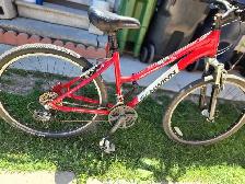 Adult bike