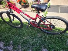 Adult bike - Photo 2