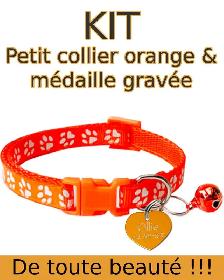 Médaille Gravée pour Chien et Chat avec Collier réfléchissant - Photo 3