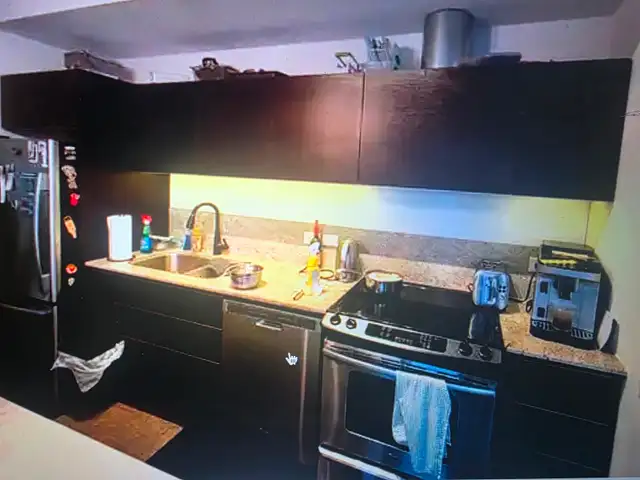 Kitchen Cabinets with granite counter tops, under mounted sink